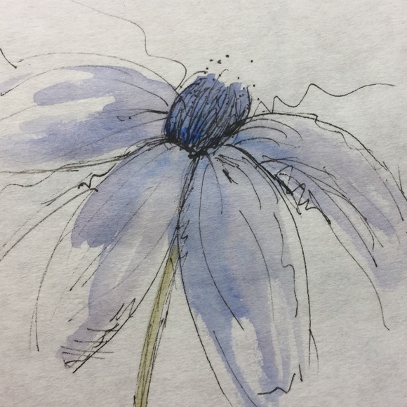 🎉🎉🎉Anappy38 is having a show! - Picture 9 of 13